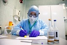 В Краснодарском крае за сутки выявили 1460 случаев коронавируса