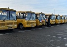 Для кубанских школ закупили десять автобусов стоимостью 19,2 млн рублей