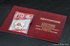 Золотой знак отличия!