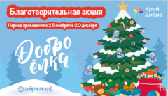 Благотворительная акция «Доброелка»