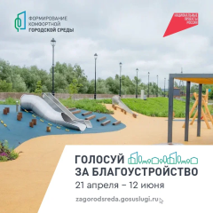 Всероссийское онлайн-голосование за выбор территорий закончится 12 июня