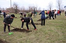 «Сад памяти» заложили в станице Ловлинской