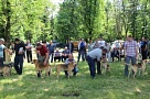 Приглашаем на краевую выставку собак охотничьих пород!