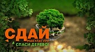 В муниципалитетах Краснодарского края проходит Всероссийский Эко-марафон ПЕРЕРАБОТКА «Сдай макулатуру - спаси дерево»