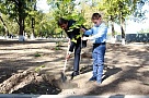 В Тбилисском районе открыли парк имени И.Е. Семыкина после реконструкции
